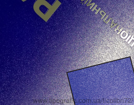 Выборочный лак