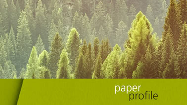 Логотип организации Paper Profile