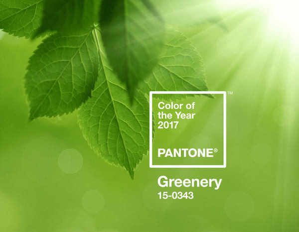 Pantone выбрал цвет 2017 года